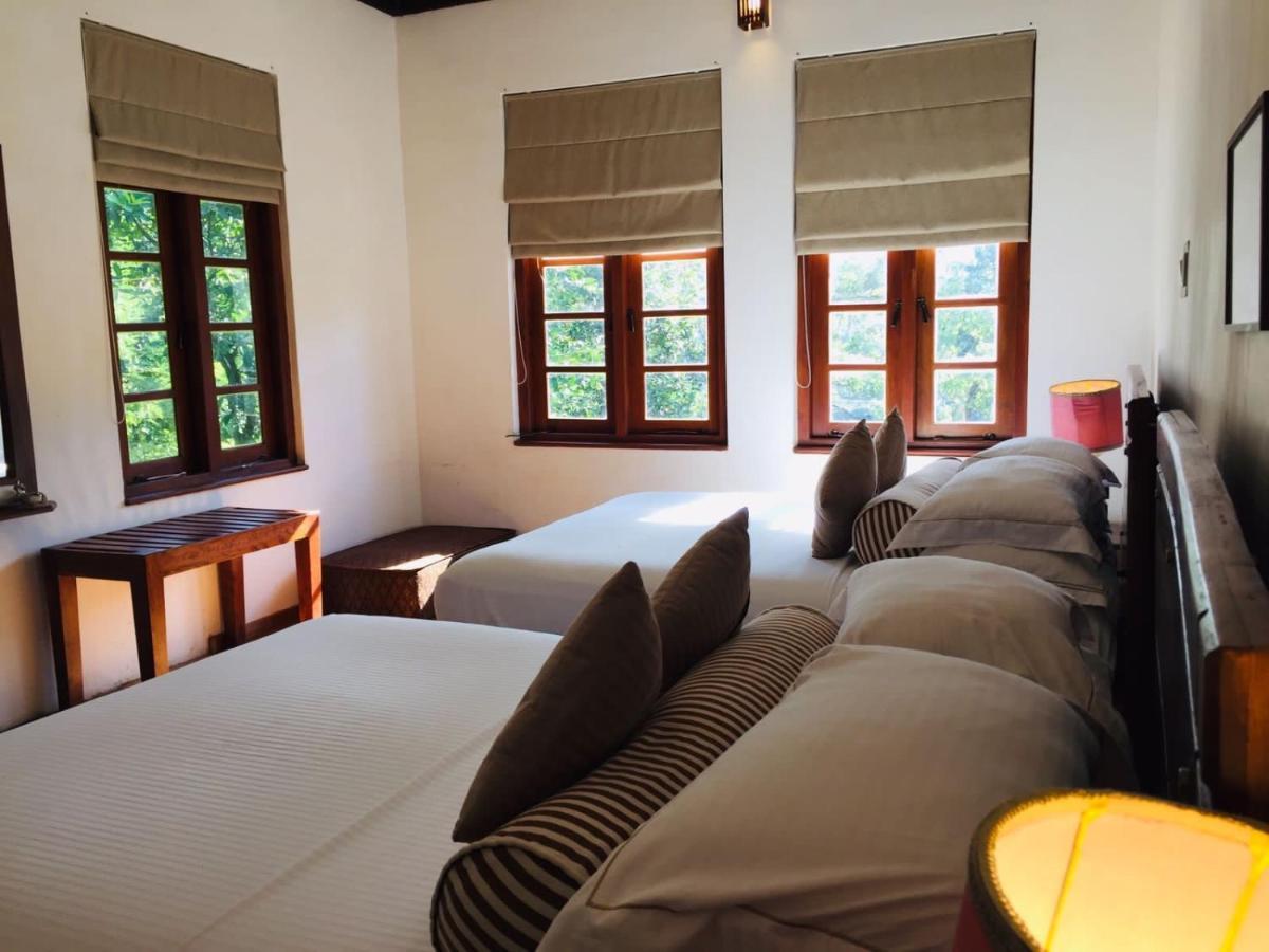 Tea Cottage Resort & Spa Nawalapitiya Exterior foto